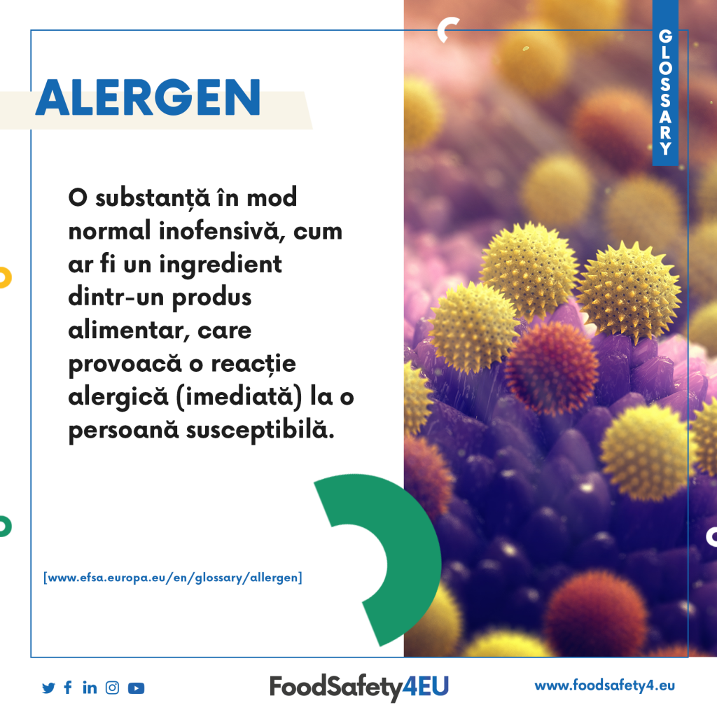 Do you know what allergen means?
Discover it through our glossary in  different languages! 